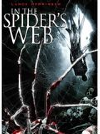 In the Spider's Web