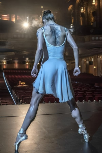 John Wick : Ballerina