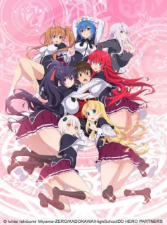 High School DxD Hero