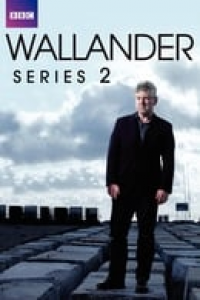 LES ENQUÊTES DE L'INSPECTEUR WALLANDER saison 2