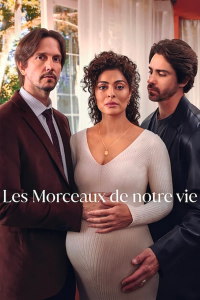 Les Morceaux de notre vie (Pedaço de Mim) saison 1